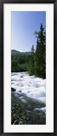 Framed River flowing through a forest, Little Susitna River, Hatcher Pass, Talkeetna Mountains, Alaska, USA Print