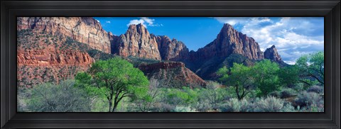 Framed Cottonwood trees and The Watchman, Zion National Park, Utah, USA Print