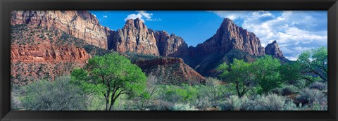 Framed Cottonwood trees and The Watchman, Zion National Park, Utah, USA Print