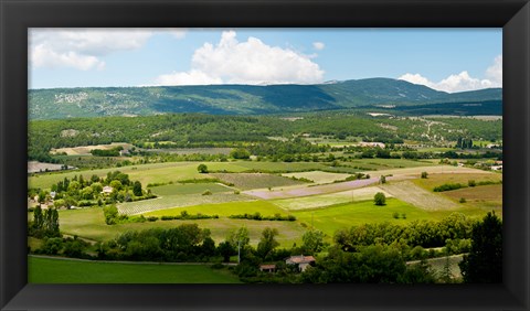 Framed High angle view of a field, Sault, Vaucluse, Provence-Alpes-Cote d&#39;Azur, France Print