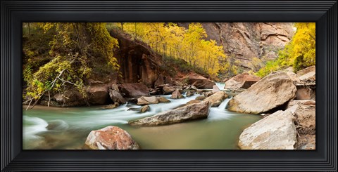 Framed Cottonwood trees and rocks along Virgin River, Zion National Park, Springdale, Utah, USA Print