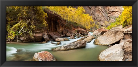 Framed Cottonwood trees and rocks along Virgin River, Zion National Park, Springdale, Utah, USA Print