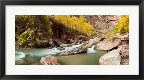 Framed Cottonwood trees and rocks along Virgin River, Zion National Park, Springdale, Utah, USA Print