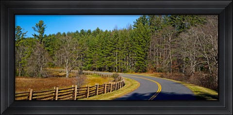 Framed Road passing through a forest, Blue Ridge Parkway, North Carolina, USA Print