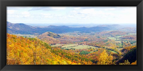 Framed Trees on a hill, North Carolina, USA Print