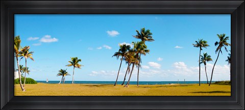 Framed Palm trees on the beach, Lauderdale, Florida, USA Print