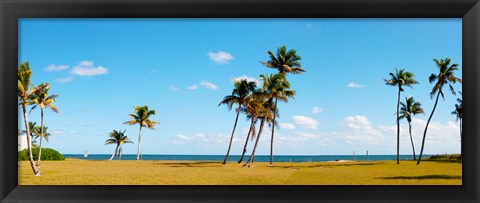 Framed Palm trees on the beach, Lauderdale, Florida, USA Print