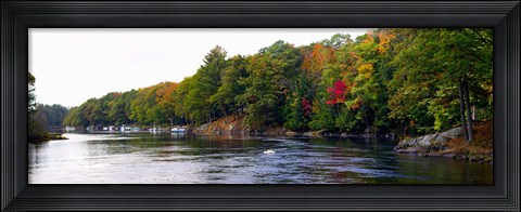 Framed Trees at the Riverside, Musquash River, Muskoka, Ontario, Canada Print