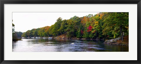 Framed Trees at the Riverside, Musquash River, Muskoka, Ontario, Canada Print