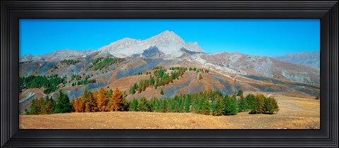 Framed Champs pass in autumn, French Riviera, Provence-Alpes-Cote d&#39;Azur, France Print
