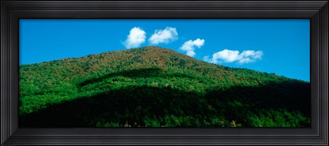 Framed Trees in autumn, Provence-Alpes-Cote d&#39;Azur, France Print