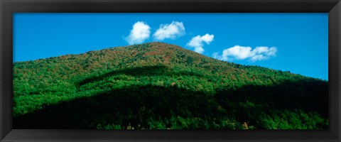 Framed Trees in autumn, Provence-Alpes-Cote d&#39;Azur, France Print