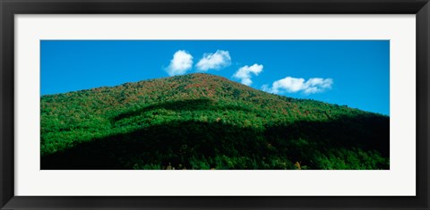 Framed Trees in autumn, Provence-Alpes-Cote d&#39;Azur, France Print