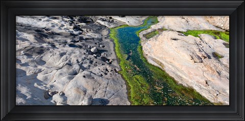 Framed Point Lobos State Reserve, Carmel, Monterey County, California Print