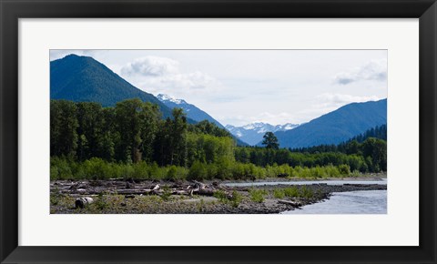 Framed Trees in front of mountains in Quinault Rainforest, Olympic National Park, Washington State, USA Print