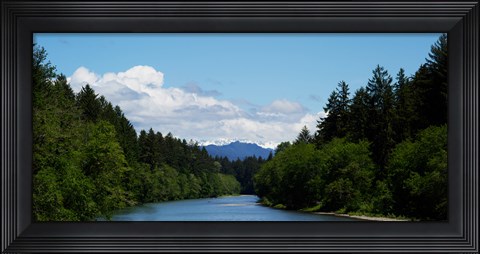 Framed River flowing through a forest, Queets Rainforest, Olympic National Park, Washington State, USA Print