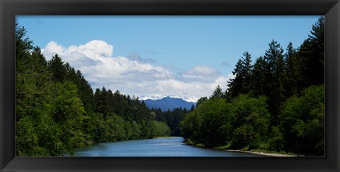 Framed River flowing through a forest, Queets Rainforest, Olympic National Park, Washington State, USA Print