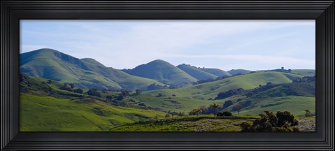 Framed High angle view of a valley, Edna Valley, San Luis Obispo County, California, USA Print
