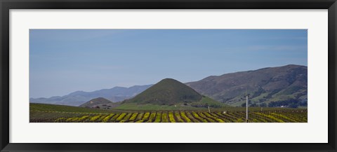 Framed Vineyard with a mountain range in the background, Edna Valley, San Luis Obispo County, California, USA Print