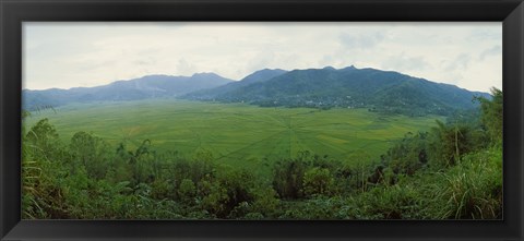 Framed Spider web rice field, Flores Island, Indonesia Print