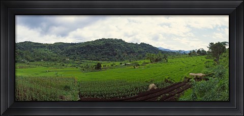 Framed Terraced rice field, Indonesia Print