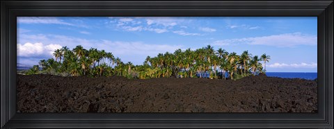 Framed Palm trees on the beach, Keawaiki Bay, Hawaii, USA Print