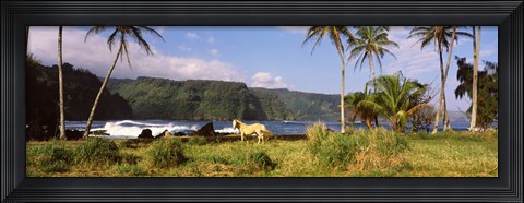 Framed Horse and palm trees on the coast, Hawaii, USA Print