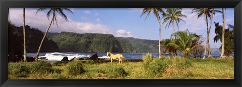 Framed Horse and palm trees on the coast, Hawaii, USA Print