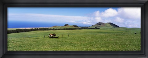 Framed Horses at feeding at trough in a ranch, Hawaii, USA Print