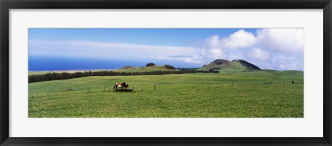 Framed Horses at feeding at trough in a ranch, Hawaii, USA Print