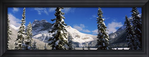 Framed Snow covered trees with mountain range in the background, Emerald Lake, Yoho National Park, Canada Print