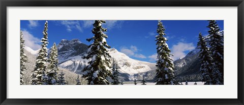 Framed Snow covered trees with mountain range in the background, Emerald Lake, Yoho National Park, Canada Print