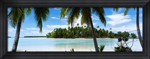 Framed Palm trees on the beach, Rangiroa Atoll, French Polynesia Print