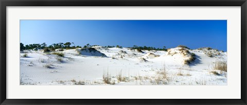 Framed Sand dunes in a desert, St. George Island State Park, Florida Panhandle, Florida, USA Print