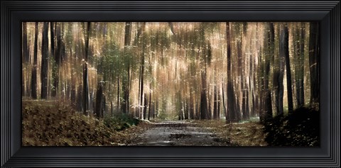 Framed Enchanted forest Print