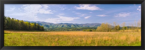 Framed Field with a mountain range in the background, Cades Cove, Great Smoky Mountains National Park, Blount County, Tennessee, USA Print