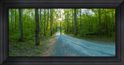 Framed Dirt road passing through a forest, Great Smoky Mountains National Park, Blount County, Tennessee, USA Print