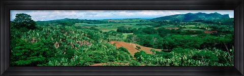 Framed Trees on a hill, Chamarel, Mauritius Island, Mauritius Print
