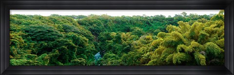 Framed Countryside, Mauritius Island, Mauritius Print