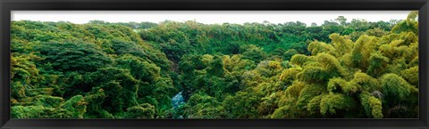 Framed Countryside, Mauritius Island, Mauritius Print