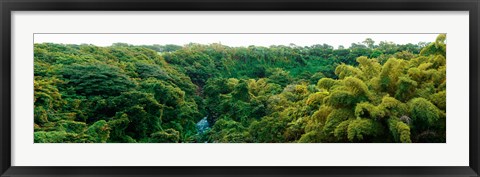 Framed Countryside, Mauritius Island, Mauritius Print
