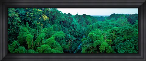 Framed Aerial View of Mauritius Island Print