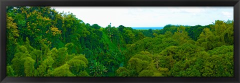 Framed Trees on the bay, Rempart and Mamelles peaks, Tamarin Bay, Mauritius island, Mauritius Print