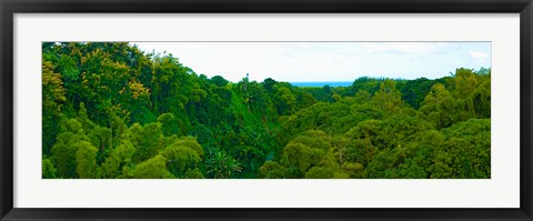 Framed Trees on the bay, Rempart and Mamelles peaks, Tamarin Bay, Mauritius island, Mauritius Print