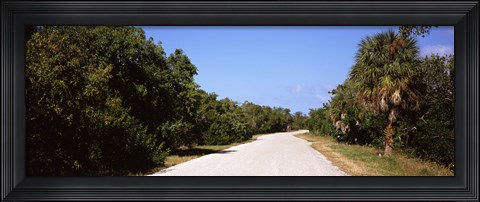 Framed Road passing through Ding Darling National Wildlife Refuge, Sanibel Island, Lee County, Florida, USA Print