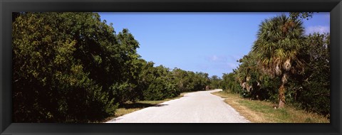 Framed Road passing through Ding Darling National Wildlife Refuge, Sanibel Island, Lee County, Florida, USA Print