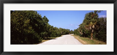 Framed Road passing through Ding Darling National Wildlife Refuge, Sanibel Island, Lee County, Florida, USA Print