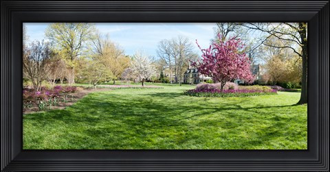 Framed Trees in a Garden, Sherwood Gardens, Baltimore, Maryland Print