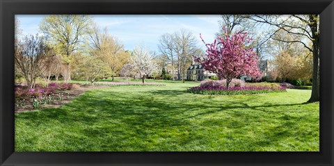 Framed Trees in a Garden, Sherwood Gardens, Baltimore, Maryland Print