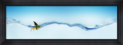 Framed Goldfish wearing shark fin Print